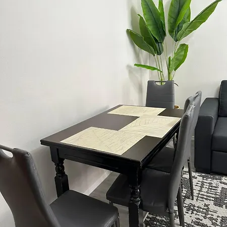 Just Renovated In The Center Tirana